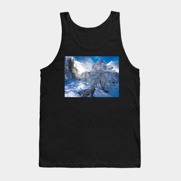 Sunset in the forest covered with snow Tank Top by naturalis